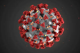 Le coronavirus affecte aussi le cerveau (étude américaine)