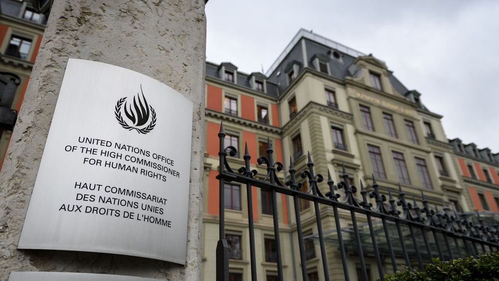 Algérie : des rapporteurs de l’ONU dénoncent l’intimidation de militants des droits humains