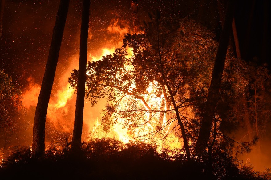 La récente vague d’incendies est “d’origine criminelle” selon Djerad