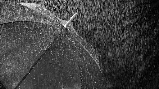 BMS : des pluies “orageuses” sur plusieurs wilayas du centre du pays