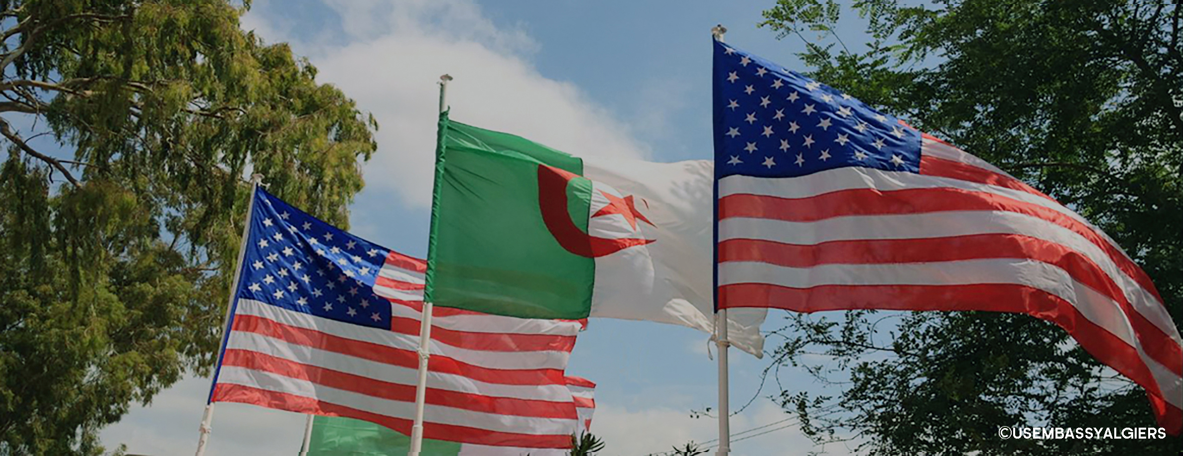 Hirak : les Etats-Unis expriment leur soutien au «droit du peuple algérien de manifester pacifiquement»