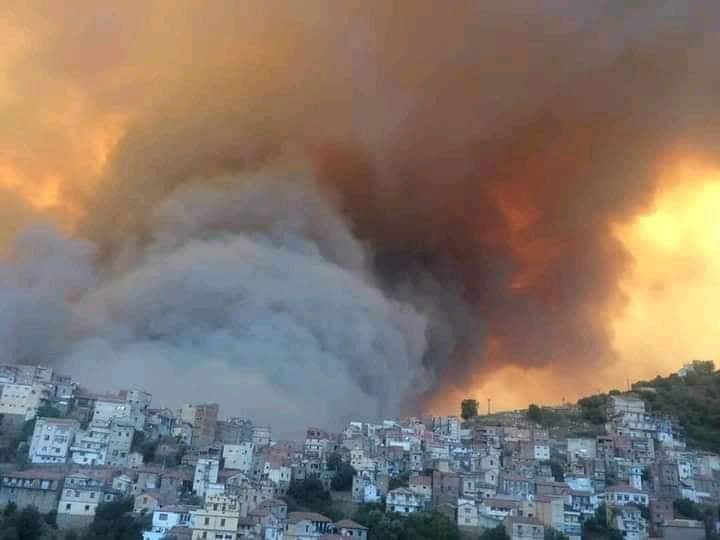 Tizi-Ouzou: d’importants incendies ravagent plusieurs régions