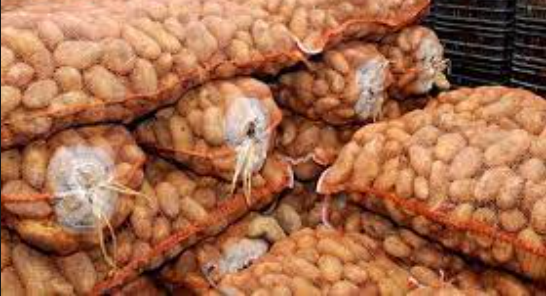 تفريغ 15 ألف طن من مادة البطاطا عبر 14 ولاية لكسر الاسعار