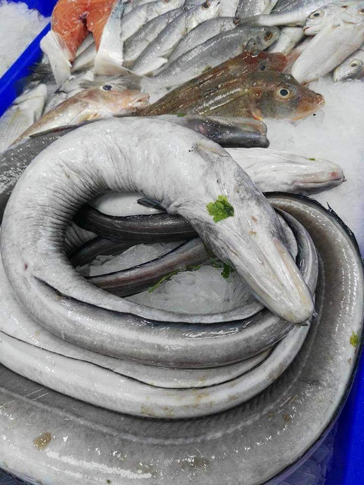 تمت مصادرة 109 كلغ..ضبط كمية أسماك ممزوجة بماء حفظ الجثت ببئر الجير بوهران