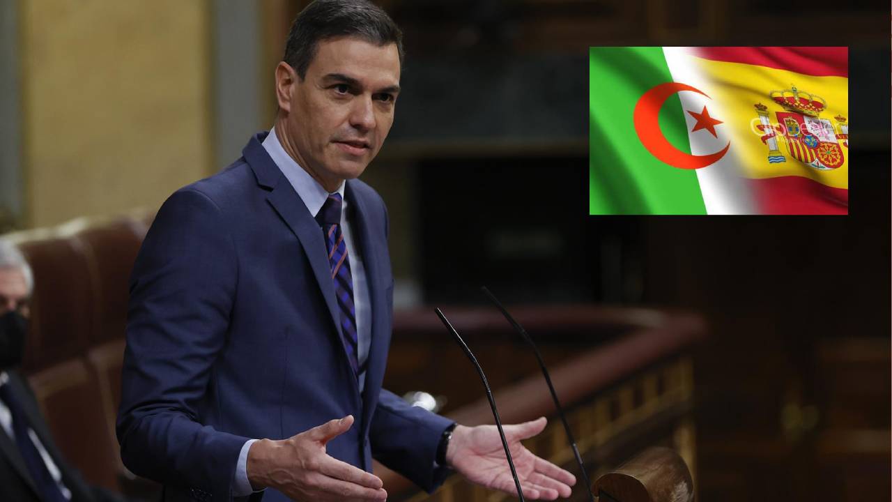 سانشيز مرّة أخرى أمام البرلمان الإسباني لشرح عواقب تغيير موقفه من الصحراء الغربية على العلاقات مع الجزائر
