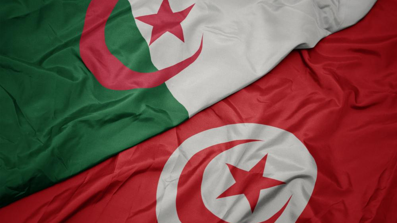 وزير خارجية تونس الأسبق: تصريح الرئيس تبون من إيطاليا أسيء فهمه