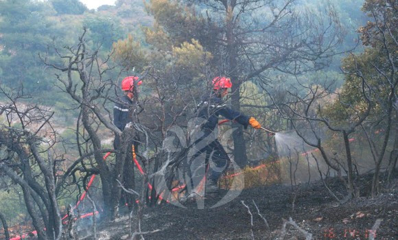 11 foyers d’incendies enregistrés aujourd’hui dans six wilayas du pays