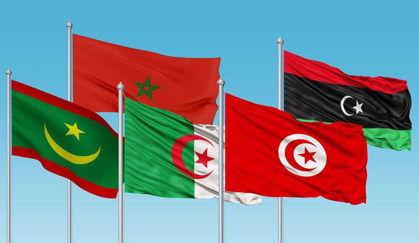 لا تلتقي أنظمة المغرب الكبير إلا لقمع شعوبها (نص جماعي)