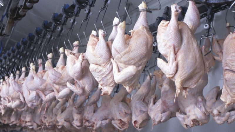 وزارة الفلاحة: أسعار اللحوم البيضاء لن تتجاوز 350 دينار للكيلوغرام طيلة شهر رمضان