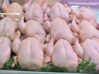 وزارة الفلاحة: سعر الدجاج سينخفض في الأيام المقبلة