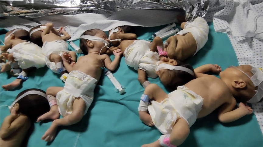 Gaza : les 31 bébés prématurés ont été transférés de l’hôpital Al-Shifa à Rafah