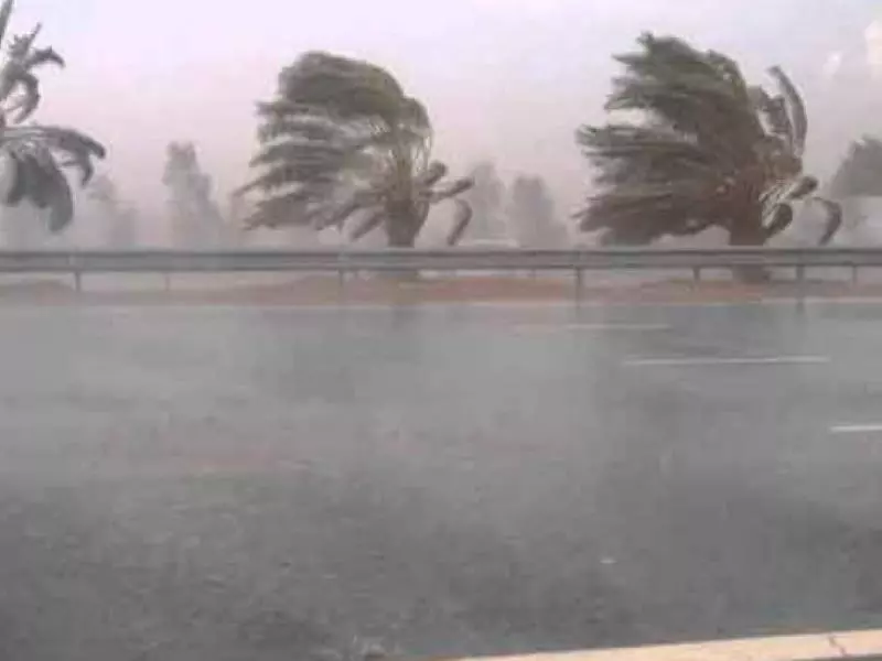 BMS: des vents forts continueront de souffler sur plusieurs wilayas du pays