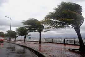 BMS : des vents violents souffleront sur plusieurs wilayas